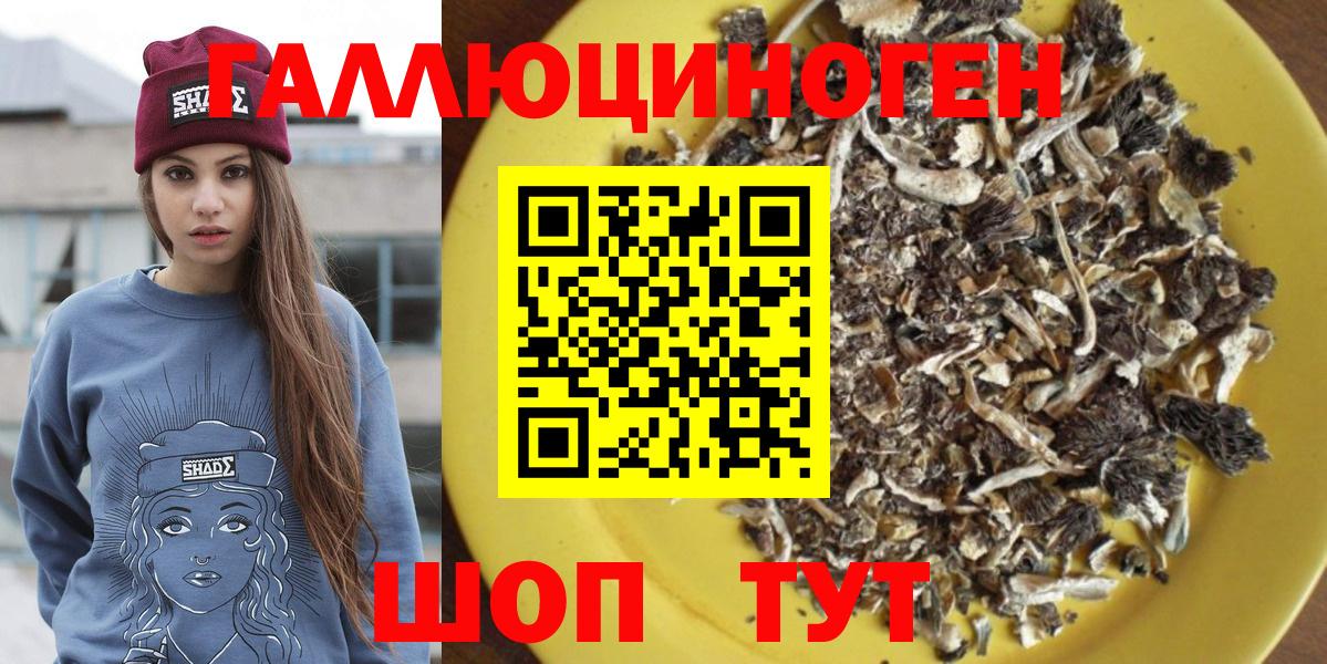 Галлюциногенные грибы Magic Shrooms  Вход с VPN  Галлюциногенные грибы прущие грибы  Тамбов 