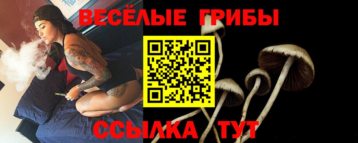 Галлюциногенные грибы GOLDEN TEACHER Тамбов